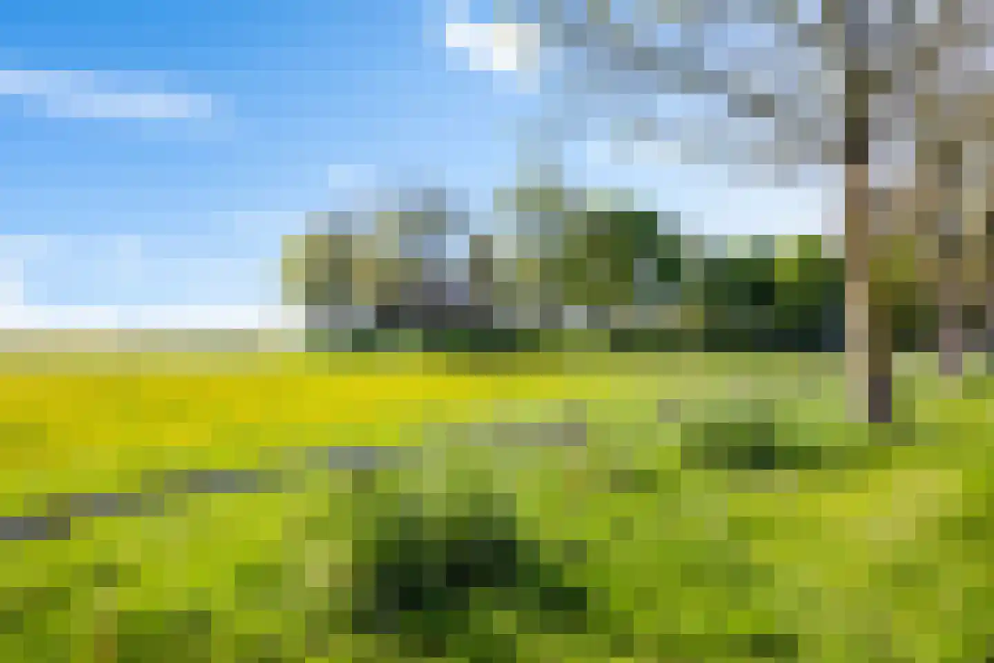 Lege Hearewei 14 Hijum thumbnail 28