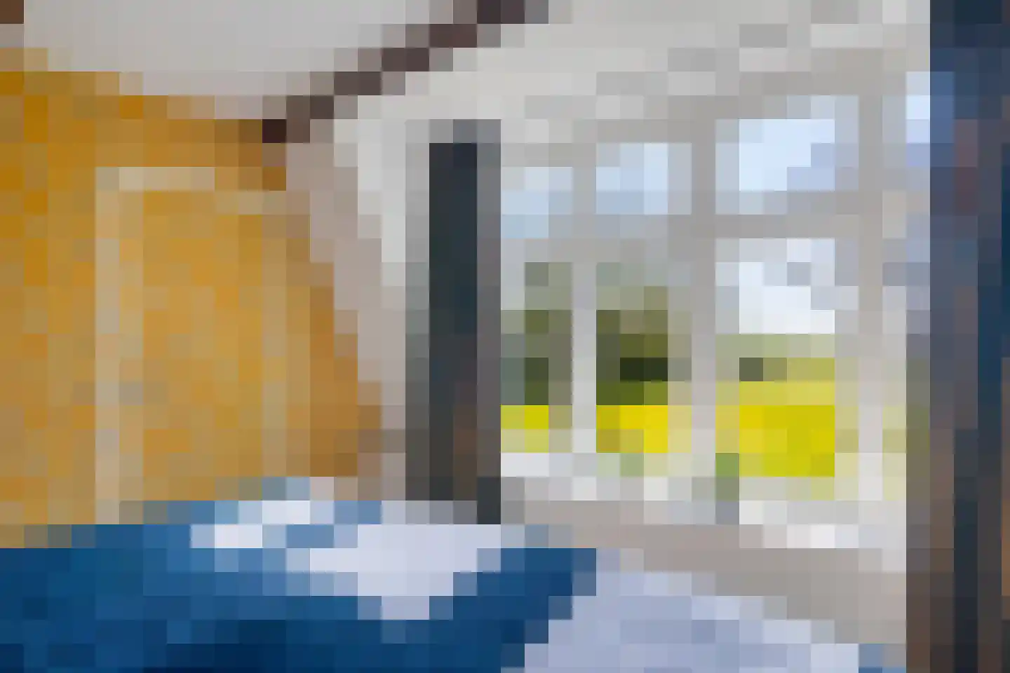 Lege Hearewei 14 Hijum thumbnail 30