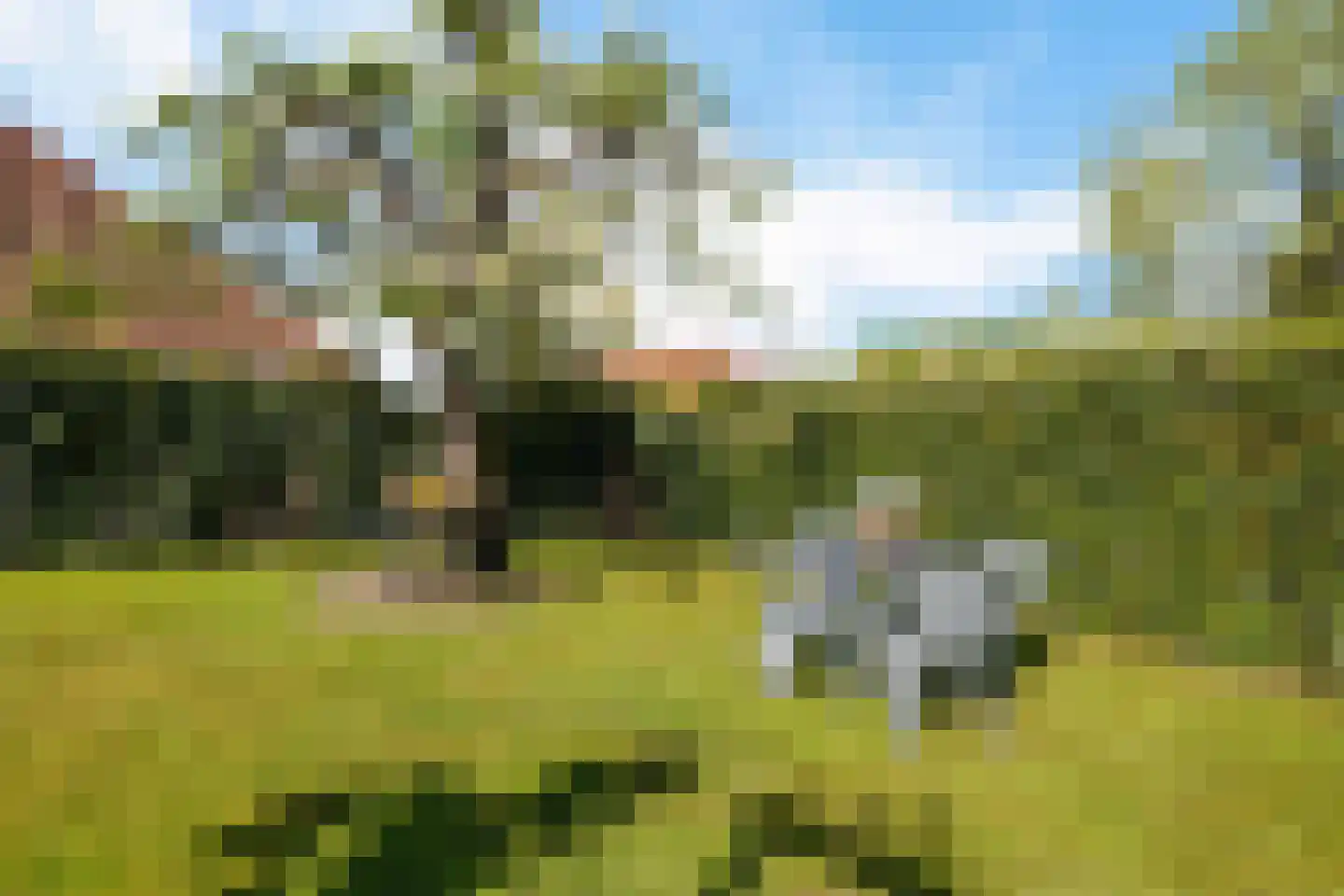 Lege Hearewei 14 Hijum thumbnail 39