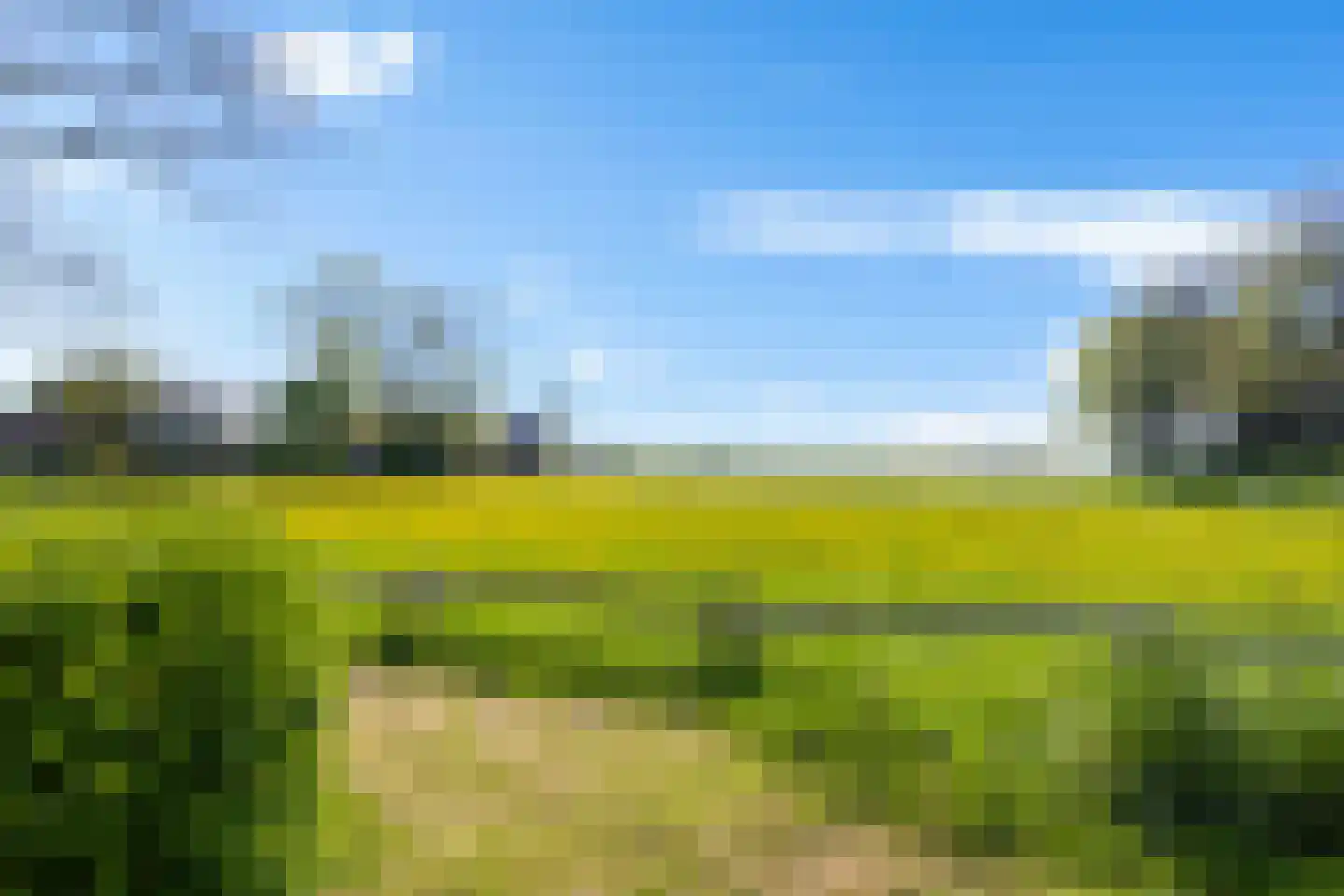 Lege Hearewei 14 Hijum thumbnail 4