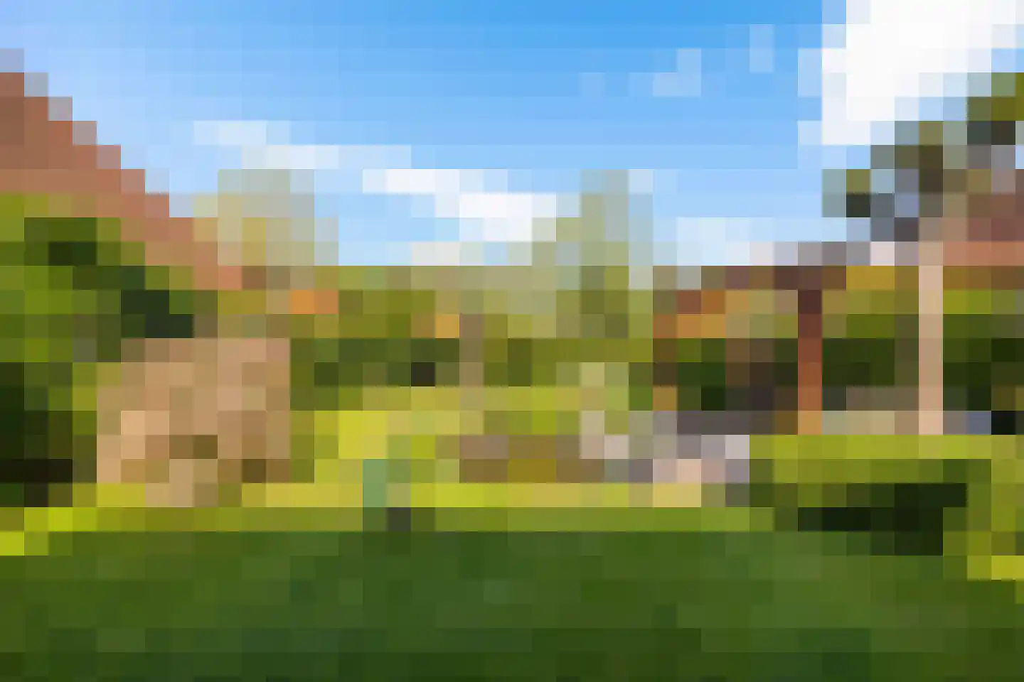 Lege Hearewei 14 Hijum thumbnail 43
