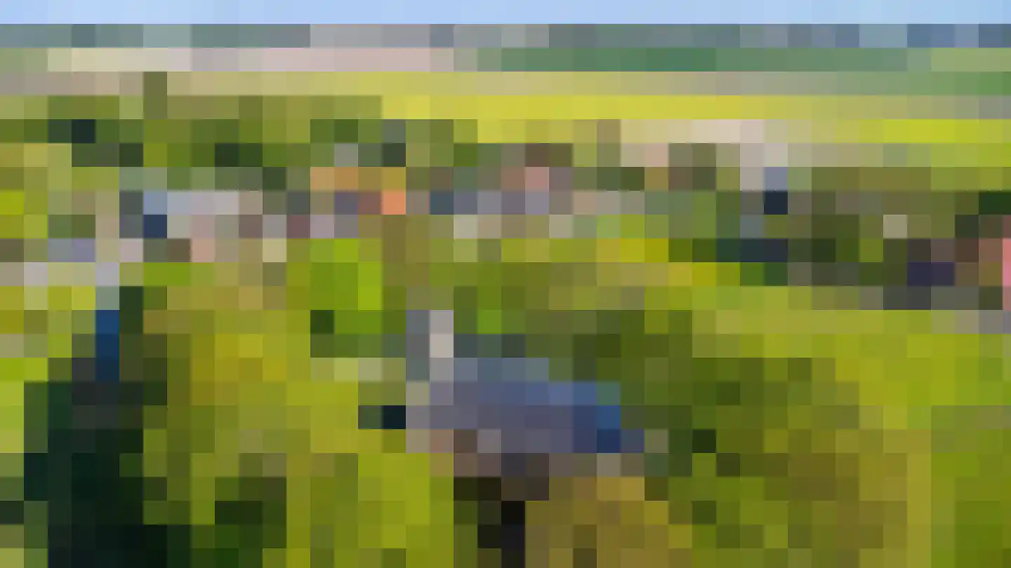 Lege Hearewei 14 Hijum thumbnail 44