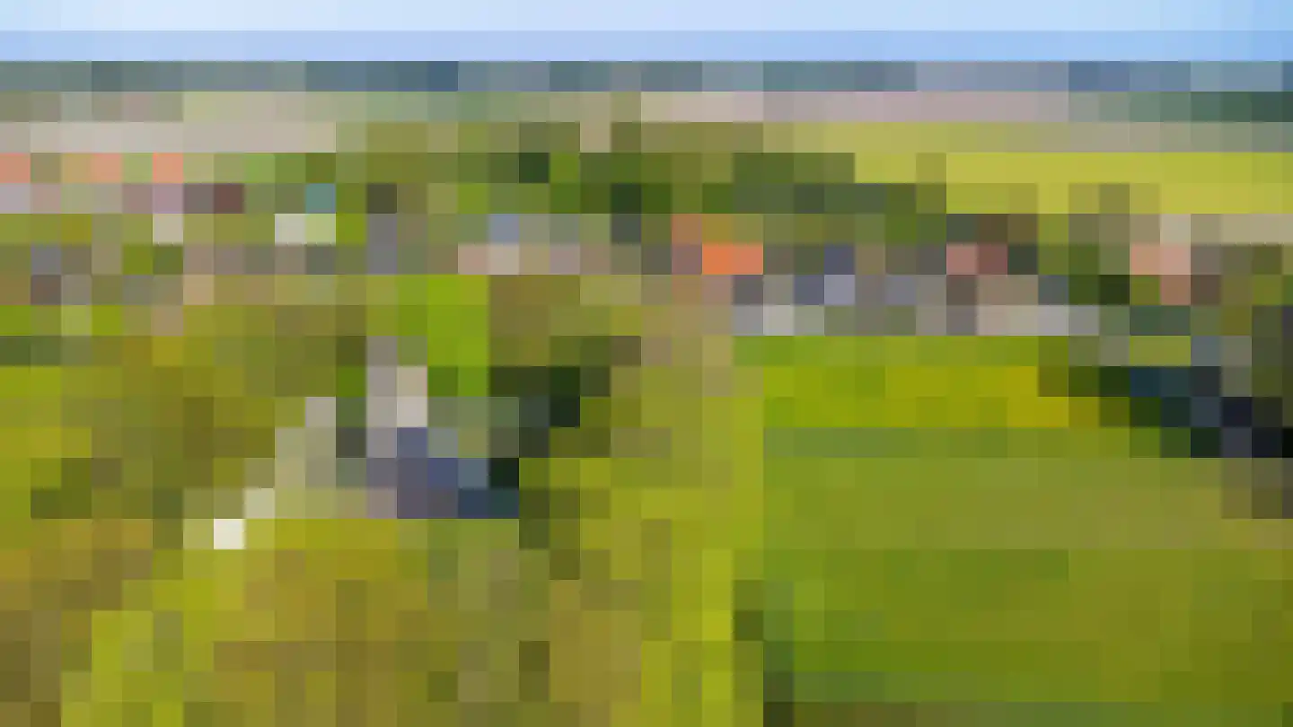 Lege Hearewei 14 Hijum thumbnail 45