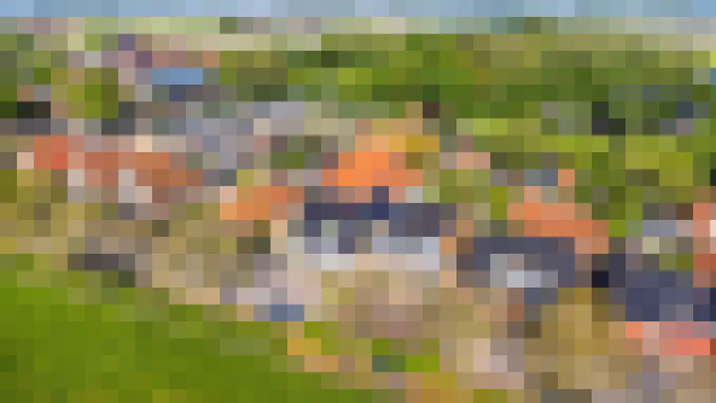 Lege Hearewei 14 Hijum thumbnail 46