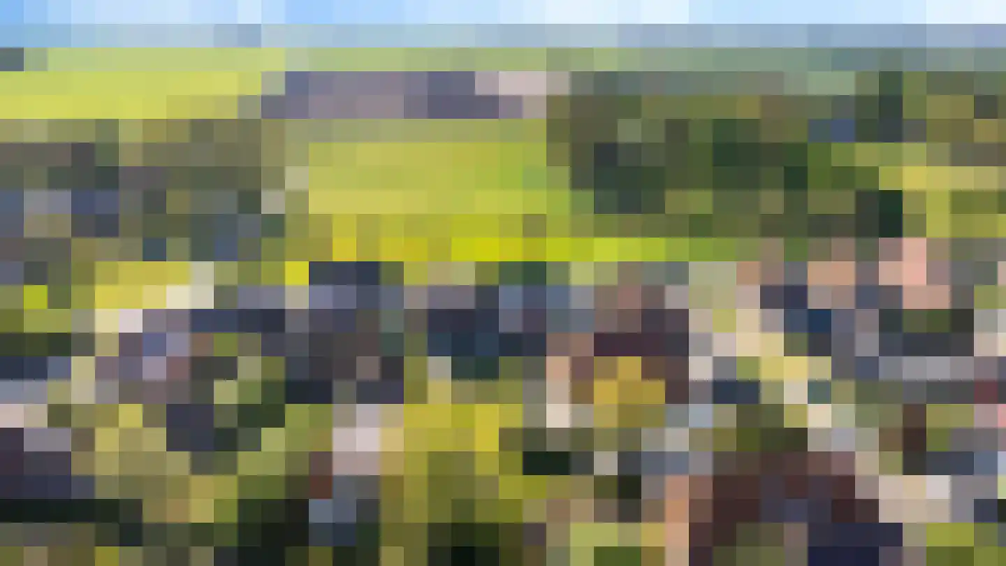 Lege Hearewei 14 Hijum thumbnail 47