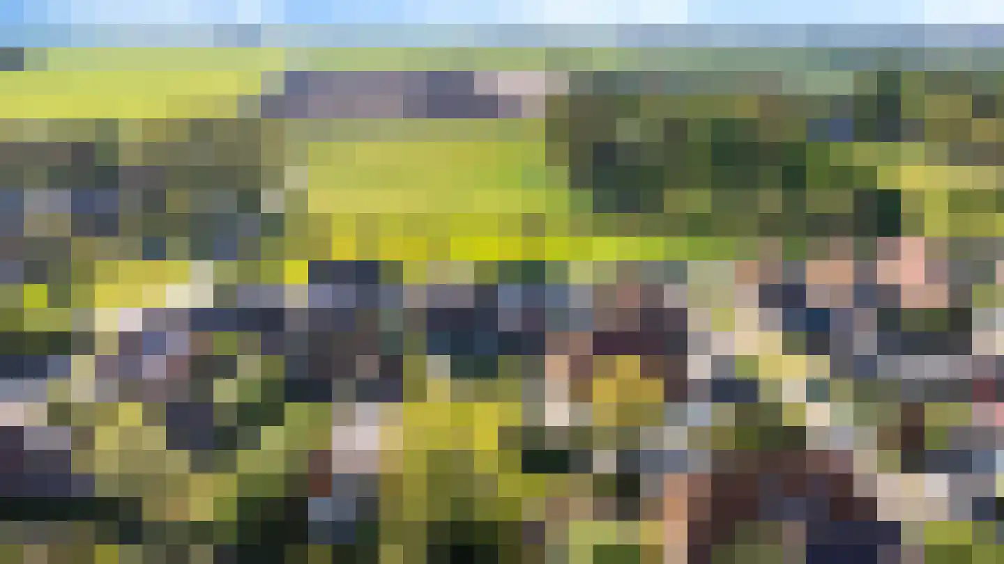 Lege Hearewei 14 Hijum thumbnail 47