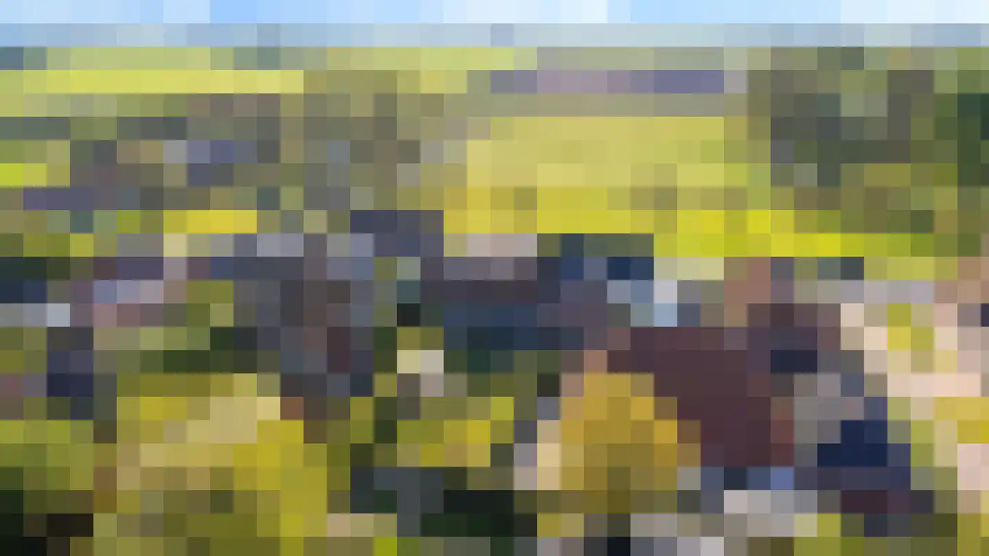 Lege Hearewei 14 Hijum thumbnail 49