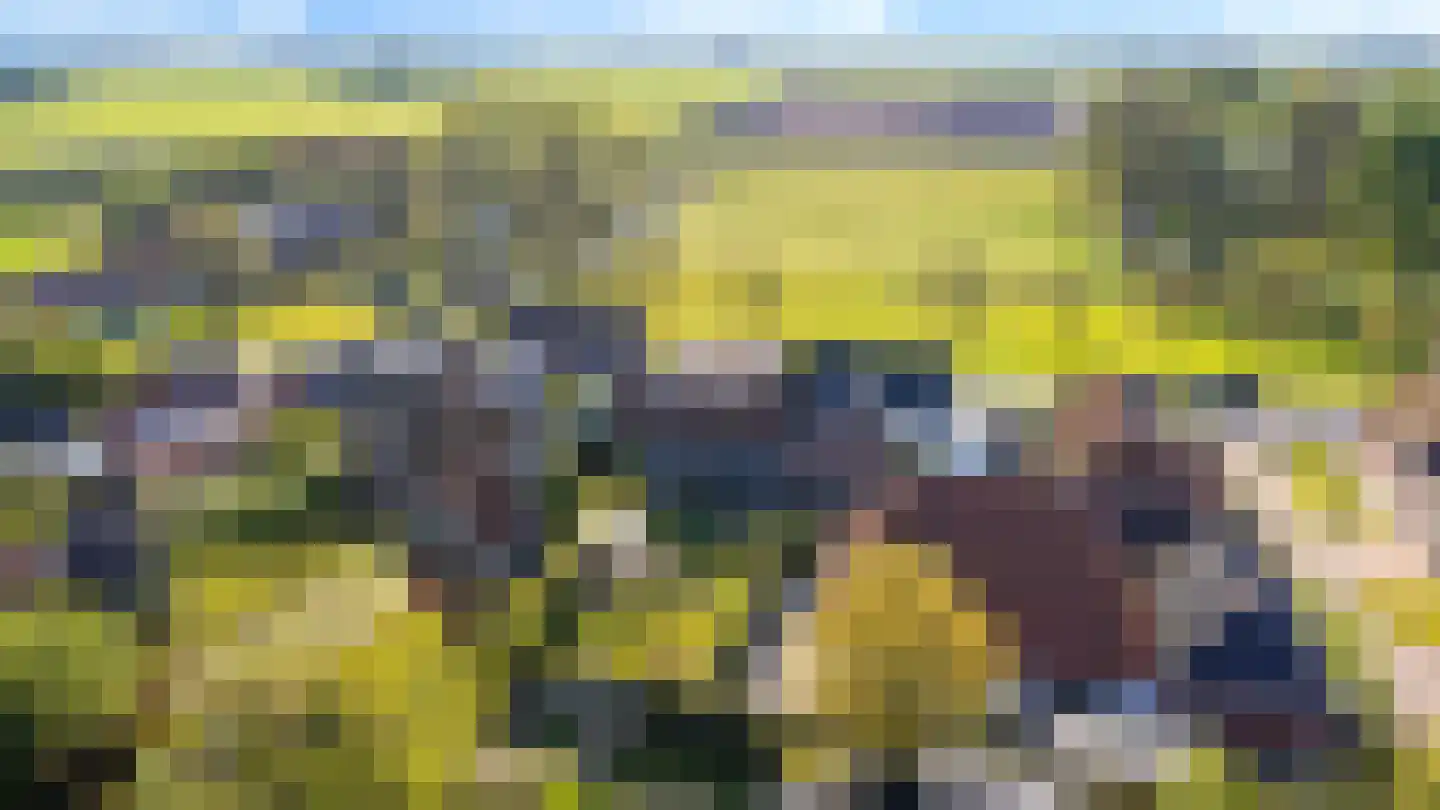 Lege Hearewei 14 Hijum thumbnail 49