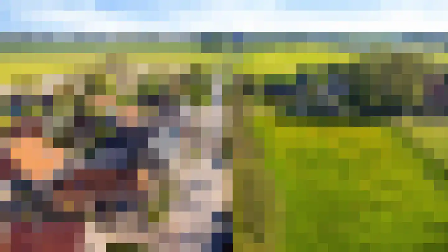 Lege Hearewei 14 Hijum thumbnail 50