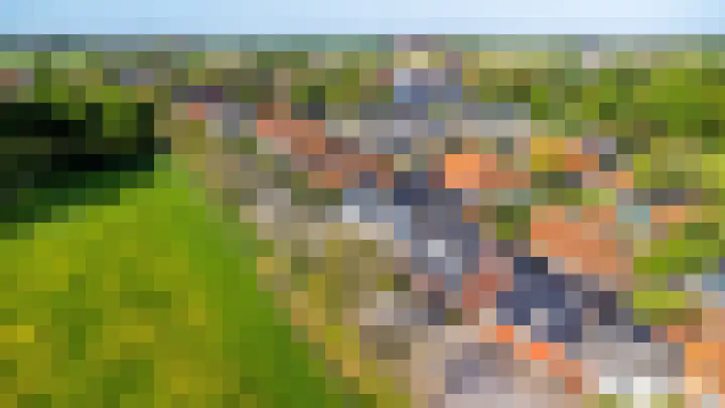Lege Hearewei 14 Hijum thumbnail 51