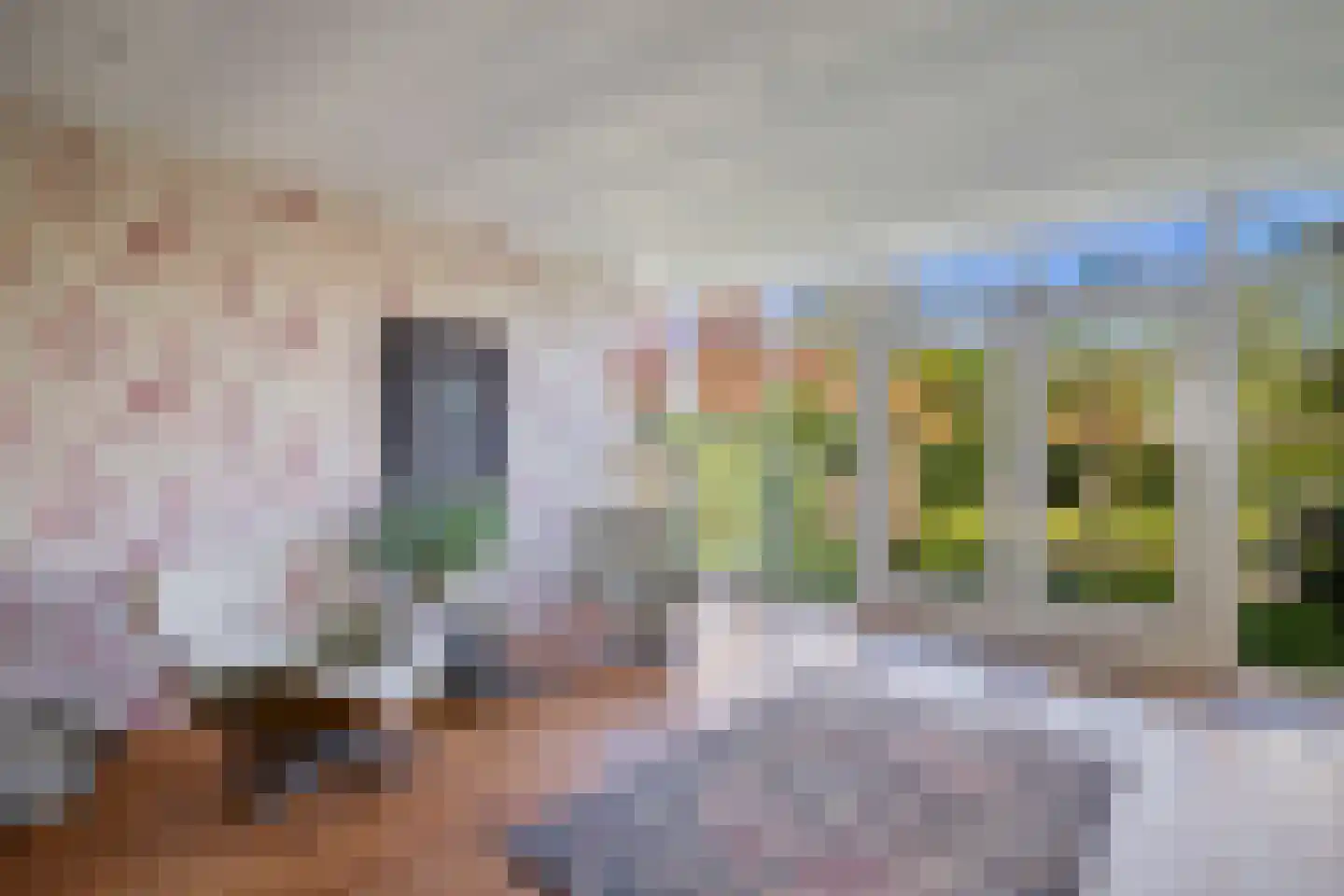 Lege Hearewei 14 Hijum thumbnail 7