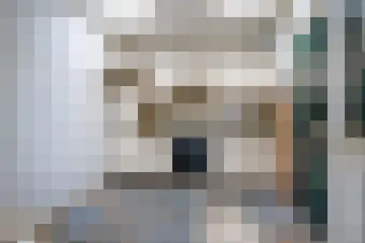 Lege Hearewei 42 Hijum thumbnail 11