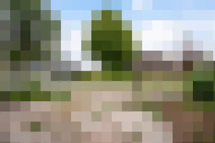 Lege Hearewei 42 Hijum thumbnail 4