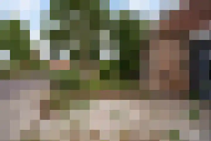 Lege Hearewei 42 Hijum thumbnail 5