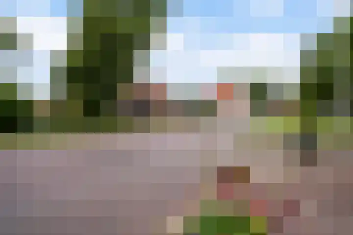 Lege Hearewei 42 Hijum thumbnail 6