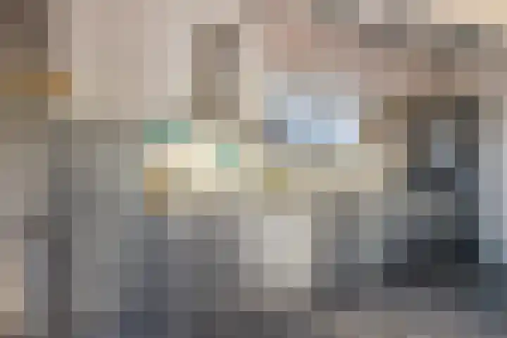 Lege Hearewei 45 Stiens thumbnail 10