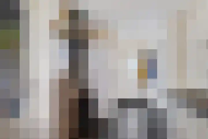 Lege Hearewei 45 Stiens thumbnail 15