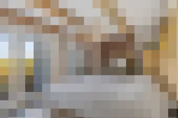 Lege Hearewei 45 Stiens thumbnail 16