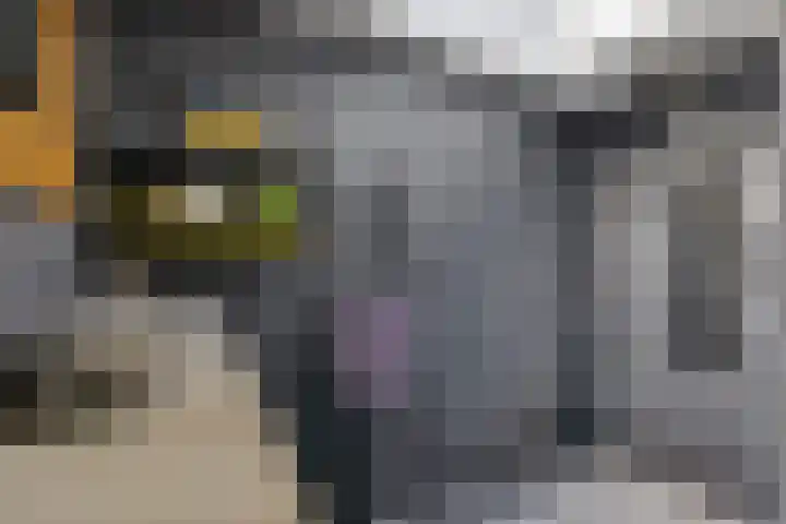 Lege Hearewei 45 Stiens thumbnail 18