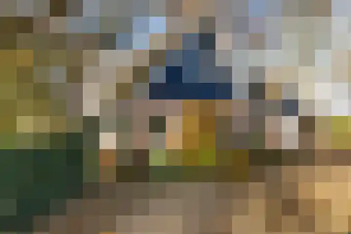 Lege Hearewei 45 Stiens foto 2