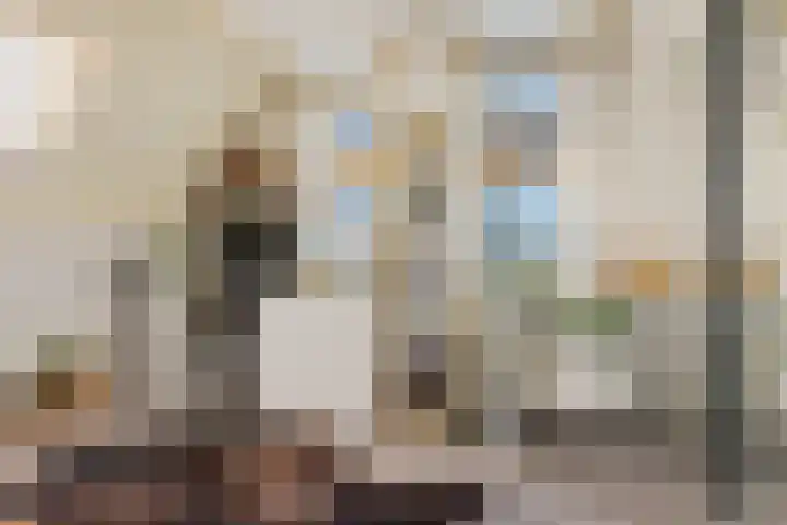 Lege Hearewei 45 Stiens thumbnail 28