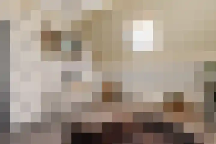 Lege Hearewei 45 Stiens thumbnail 29