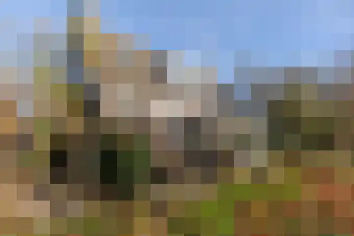 Lege Hearewei 45 Stiens foto 3