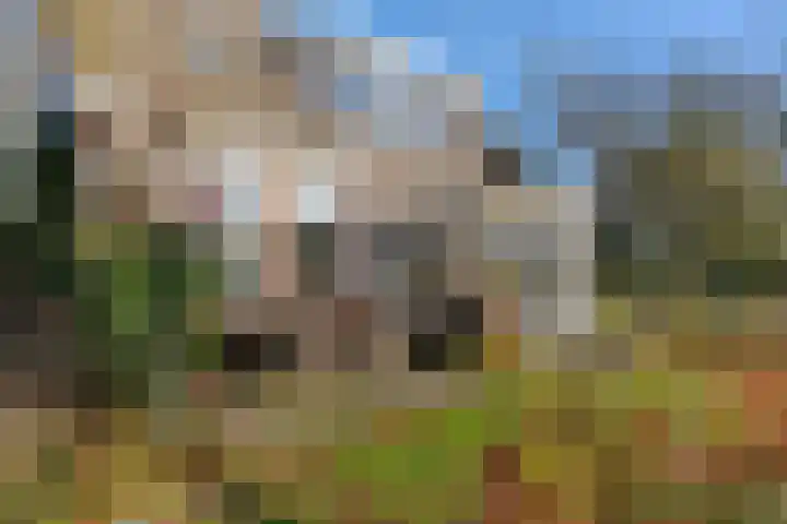 Lege Hearewei 45 Stiens thumbnail 35