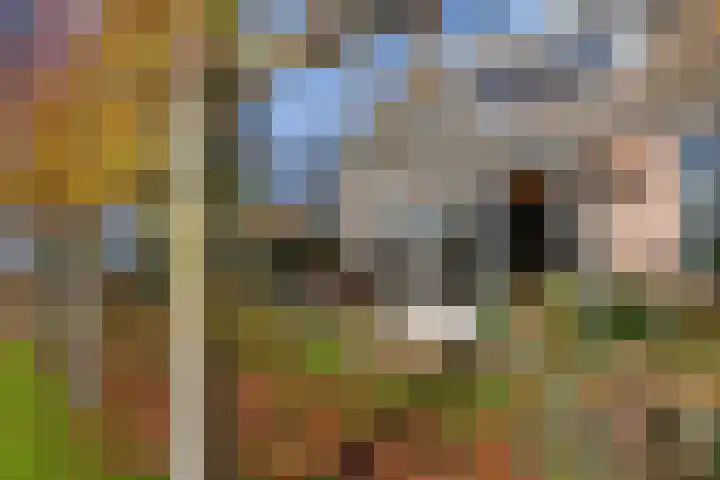 Lege Hearewei 45 Stiens thumbnail 36