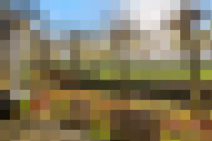 Lege Hearewei 45 Stiens thumbnail 38