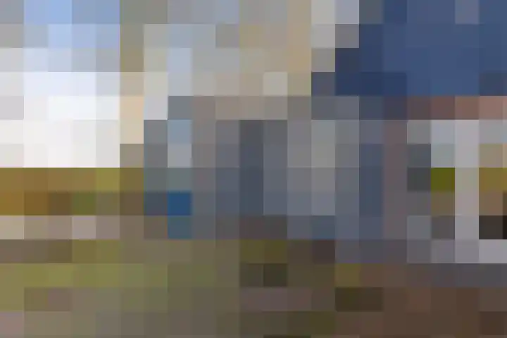 Lege Hearewei 45 Stiens thumbnail 39