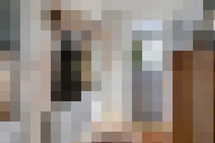 Lege Hearewei 45 Stiens thumbnail 4