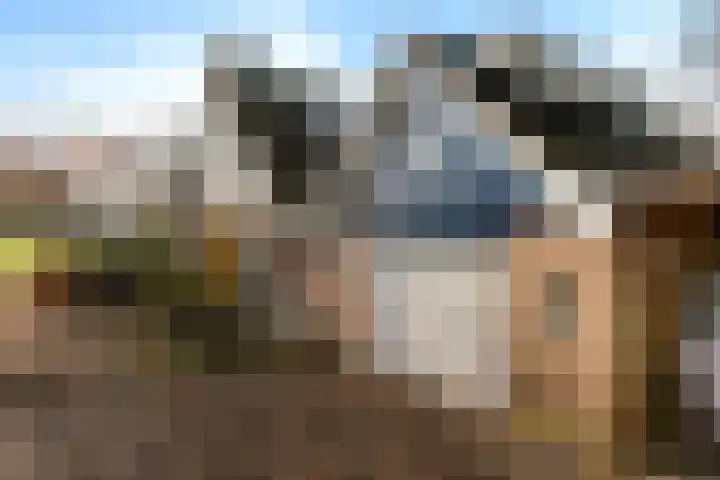 Lege Hearewei 45 Stiens thumbnail 41