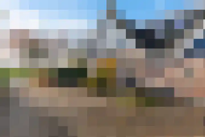 Lege Hearewei 45 Stiens thumbnail 43