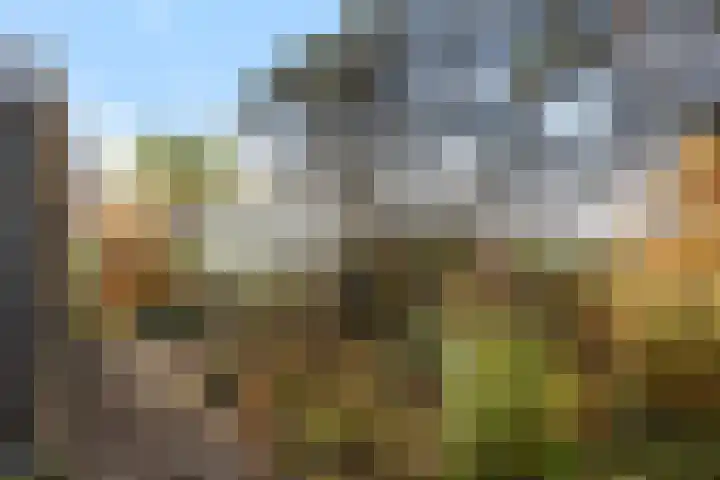 Lege Hearewei 45 Stiens thumbnail 44