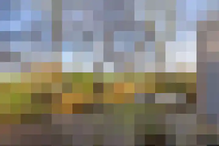 Lege Hearewei 45 Stiens thumbnail 47