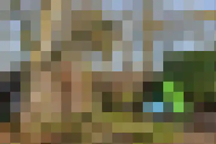 Lege Hearewei 45 Stiens thumbnail 48