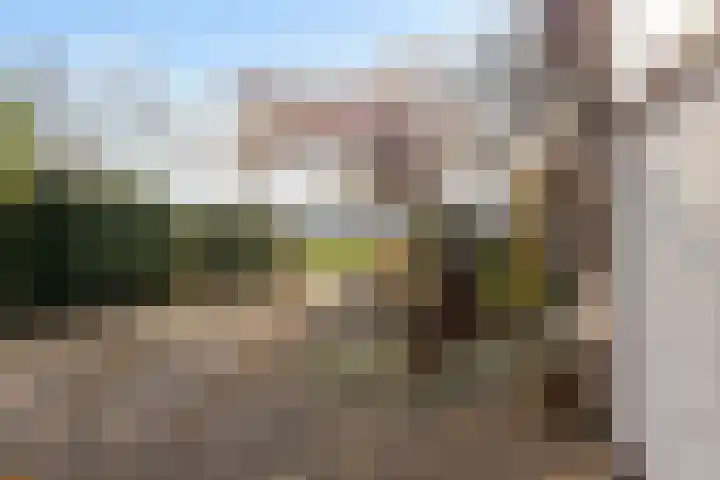 Lege Hearewei 45 Stiens thumbnail 49
