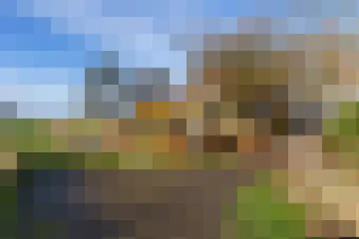 Lege Hearewei 45 Stiens thumbnail 50