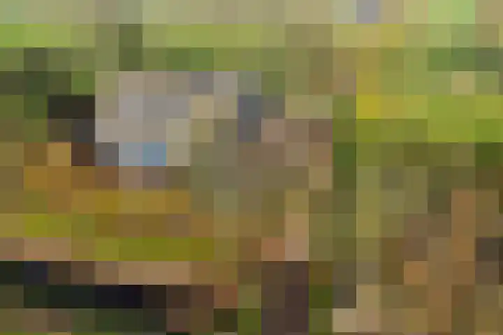 Lege Hearewei 45 Stiens thumbnail 52