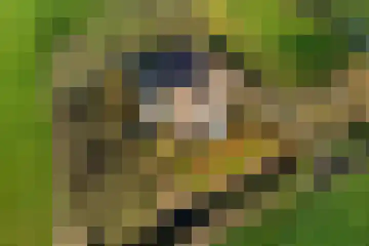 Lege Hearewei 45 Stiens thumbnail 53