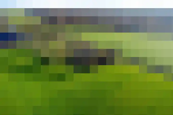 Lege Hearewei 45 Stiens thumbnail 56