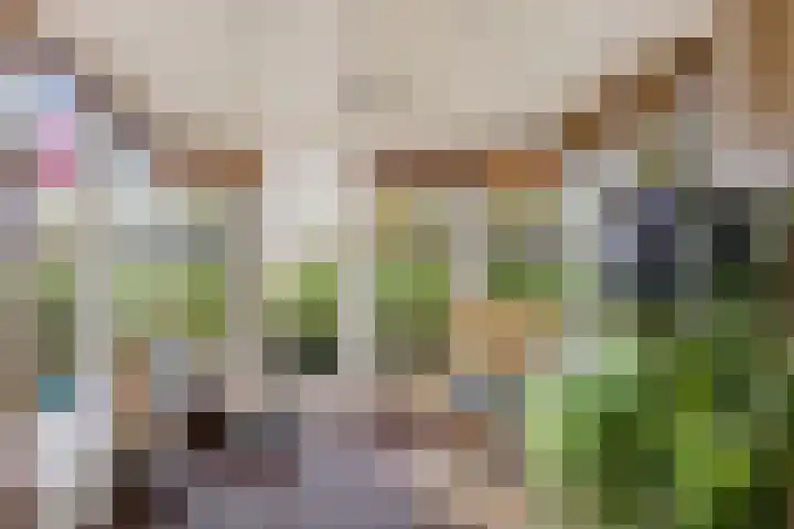 Lege Hearewei 45 Stiens thumbnail 6