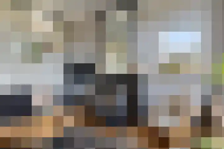 Lege Hearewei 45 Stiens thumbnail 7