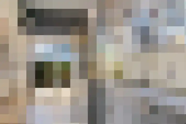 Lege Hearewei 45 Stiens thumbnail 9
