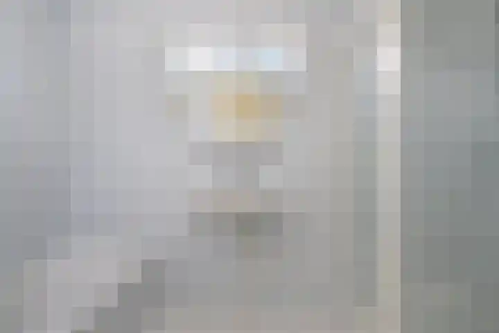 Lege Hearewei 50 Stiens thumbnail 14