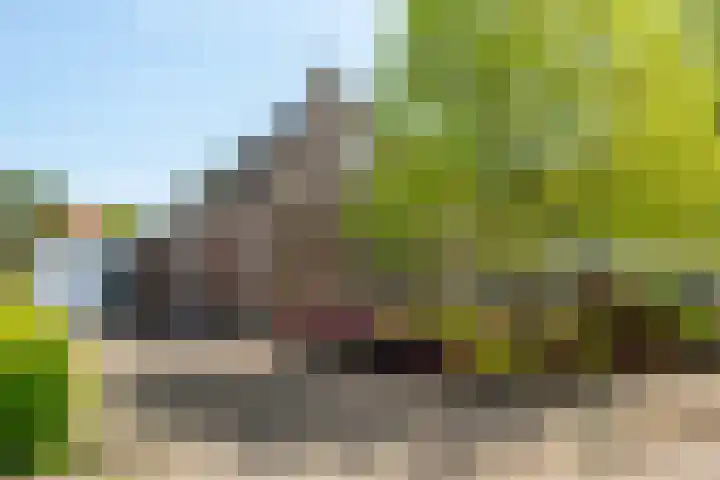 Lege Hearewei 50 Stiens foto 2