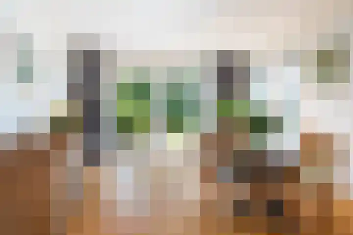 Lege Hearewei 50 Stiens thumbnail 20