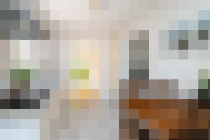 Lege Hearewei 50 Stiens thumbnail 24
