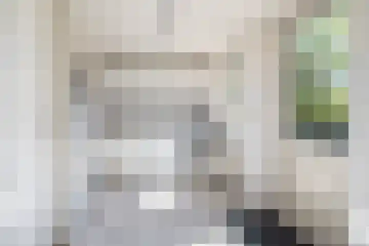 Lege Hearewei 50 Stiens thumbnail 25